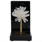 Tucker Black Bookends, Set of 2