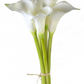 26.5" Calla Lily Bundle, Fresh Touch Cream