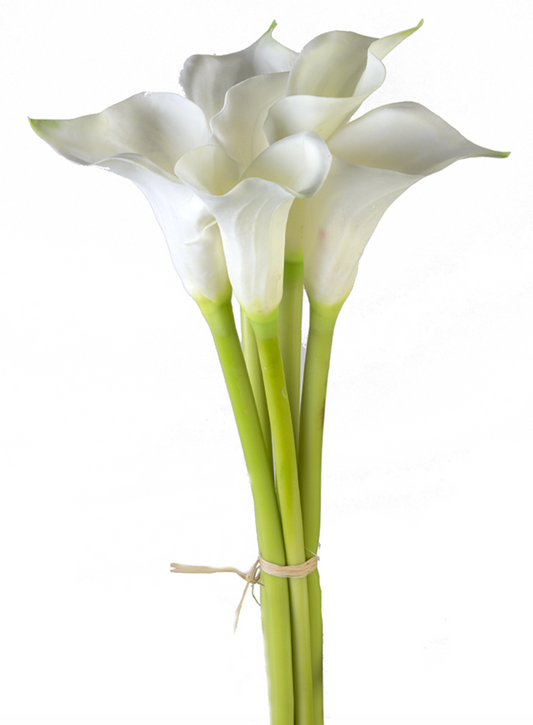 26.5" Calla Lily Bundle, Fresh Touch Cream