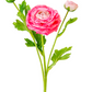 19" Real Touch Ranunculus Spray, Hot Pink