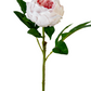 Artificial peony with a white bloom and green leaves on a white background
