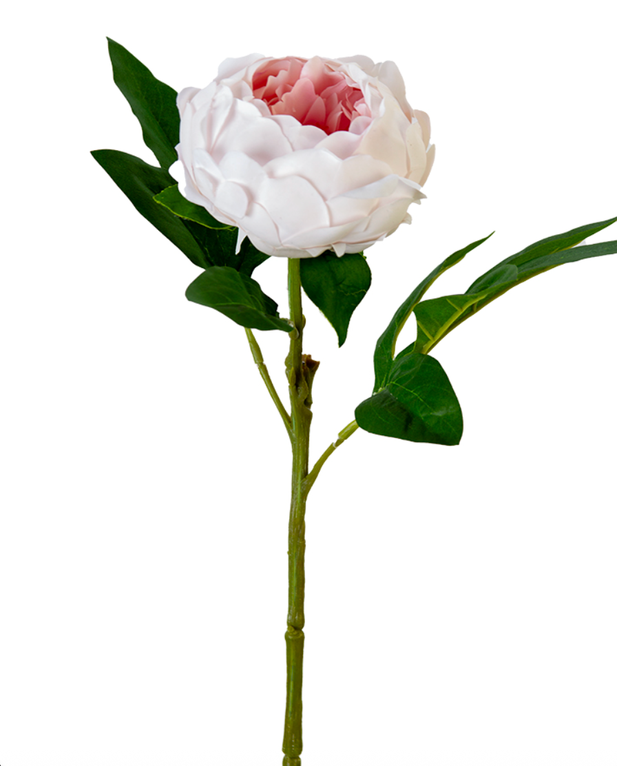 Artificial peony with a white bloom and green leaves on a white background