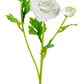 19" Real Touch Ranunculus Spray, White