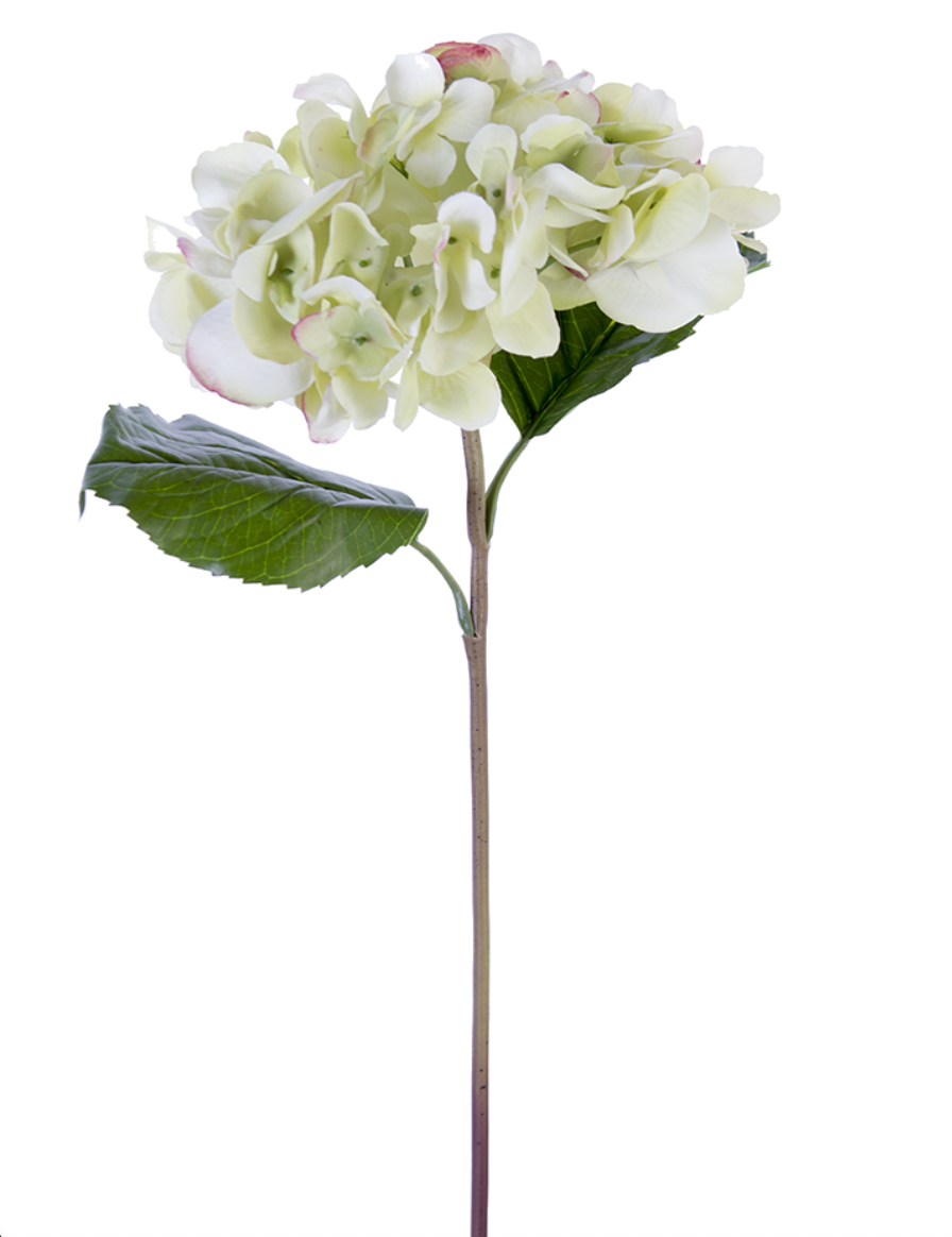 22" Fresh Touch Grand Hydrangea, Light Green