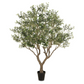 Faux Olive Tree Wide