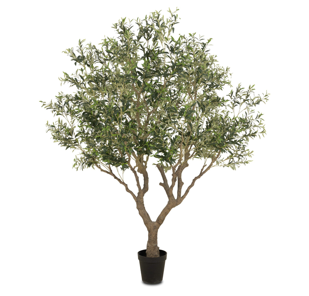 Faux Olive Tree Wide