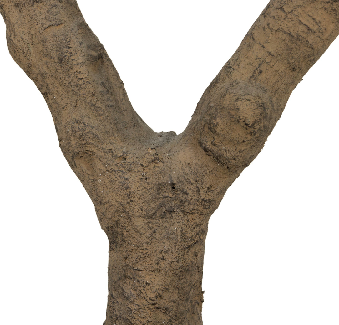 Faux Olive Tree Wide