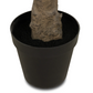 Faux Olive Tree Wide
