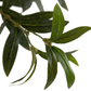 Faux Olive Tree Wide