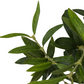 Faux Olive Tree Wide