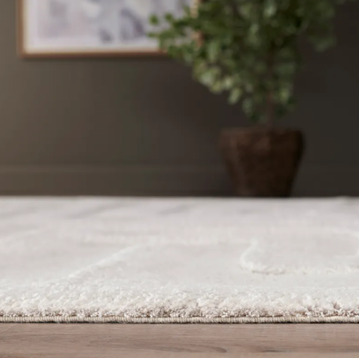 Amazing Rug 8x10