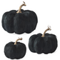Black Feather Pumpkins (Various Sizes)