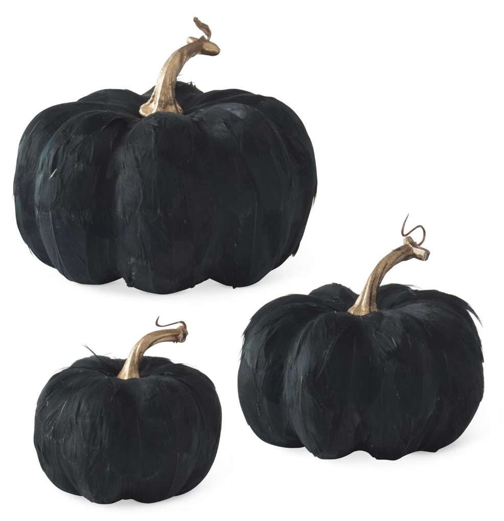 Black Feather Pumpkins (Various Sizes)