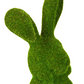 Moss Thinking Rabbit Bust (Various Styles)