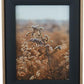 Black Linen Photo Frames (Various Sizes)