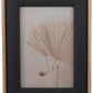 Black Linen Photo Frames (Various Sizes)