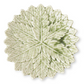 6" Green Ceramic Leaf Plates