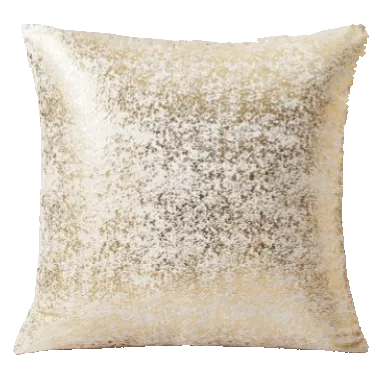 Champagne and White Pillow