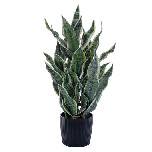 32" Sansevieria Potted Plant