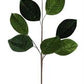 31" Velvet Magnolia Leaf Spray