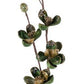 34" Wild Mini Magnolia Spray, Olive Green