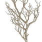 31" Twig Branch