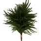 30" Mixed Pine Bundle