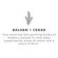 Balsam + Cedar - 16 oz Amber Glass Soap