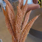 25" Millet Bundle, Rust