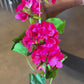 26" Real Touch Geranium Spray (Various Colors)