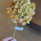 21" Hydrangea, Brown Green