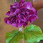 22" Grand Hydrangea, Violet