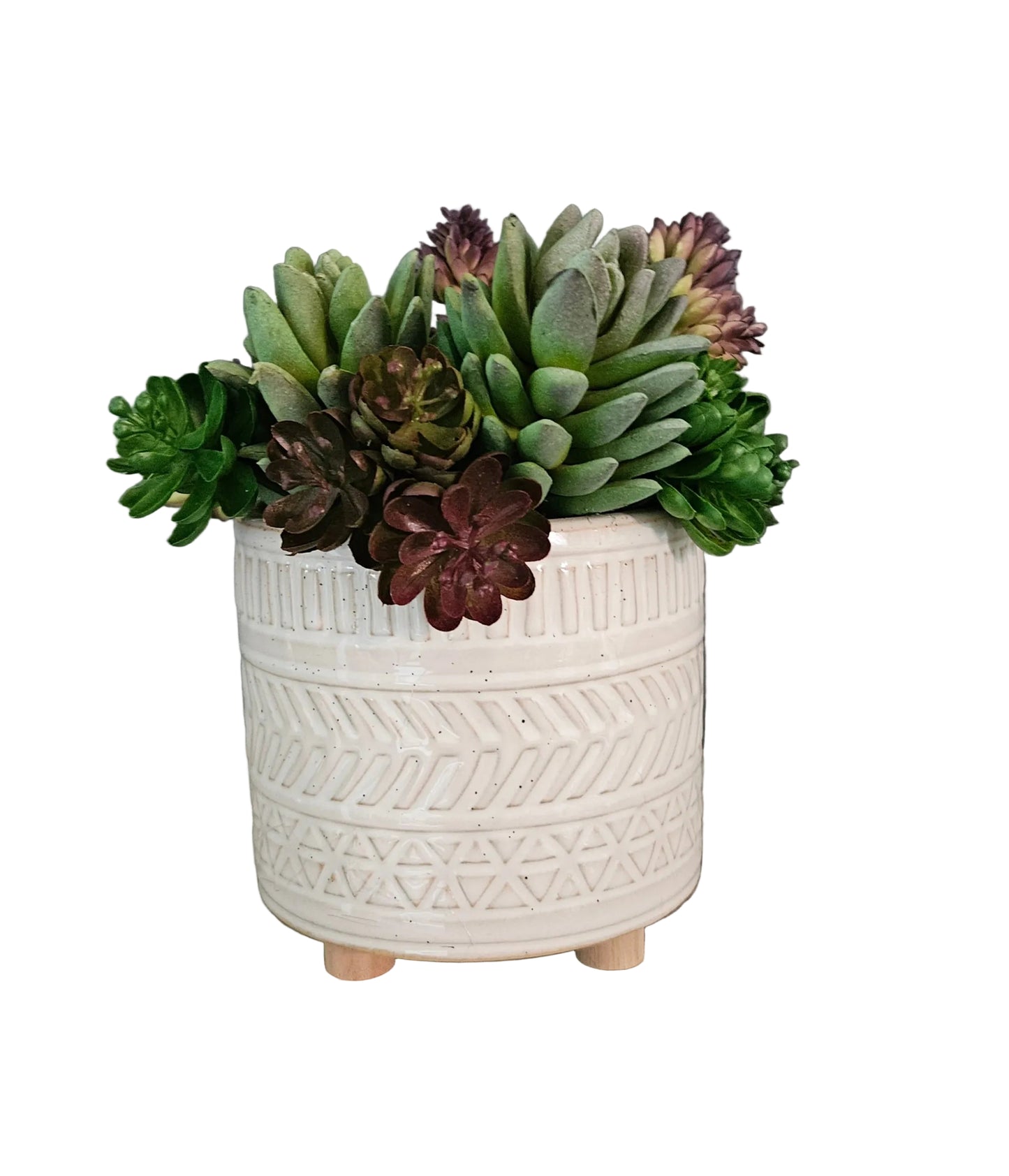 Succulent Arrangement