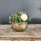 Sit Around With Navy Hydrangea and Cream Ranunculus