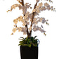 Custom Angel Floor Orchid