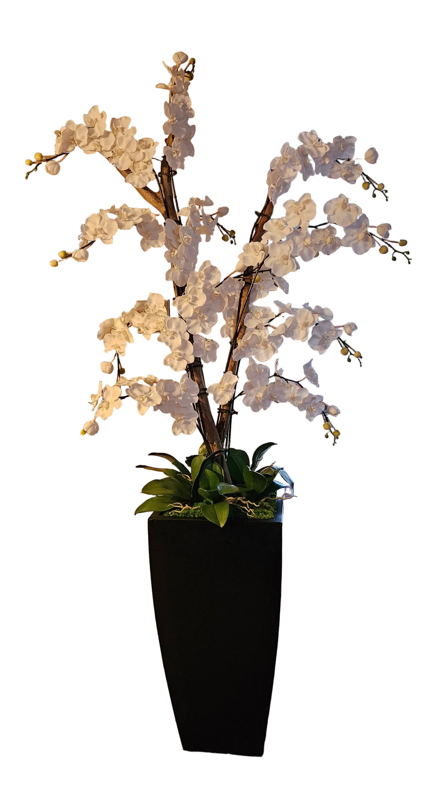 Custom Angel Floor Orchid
