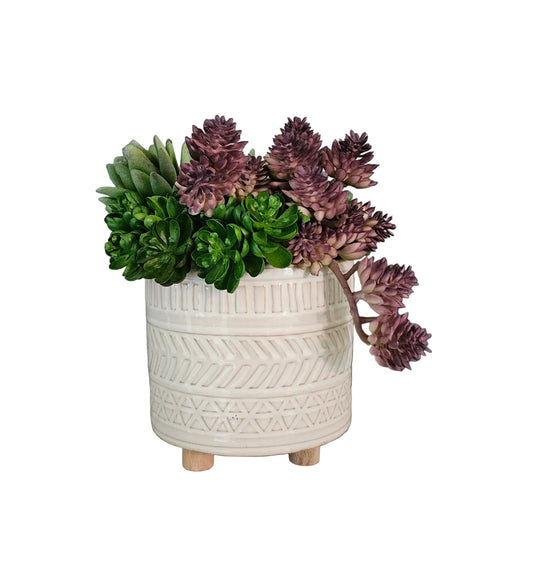 Succulent Arrangement