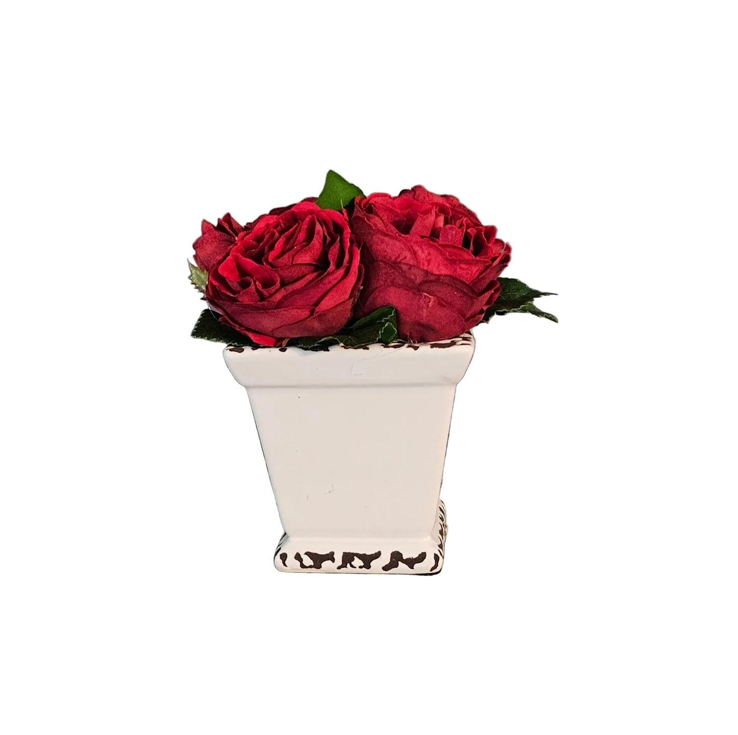 Red Rose Sit Around In Distressed Container