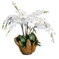 Extra Large Orchid Centerpiece in Carved Teak Container