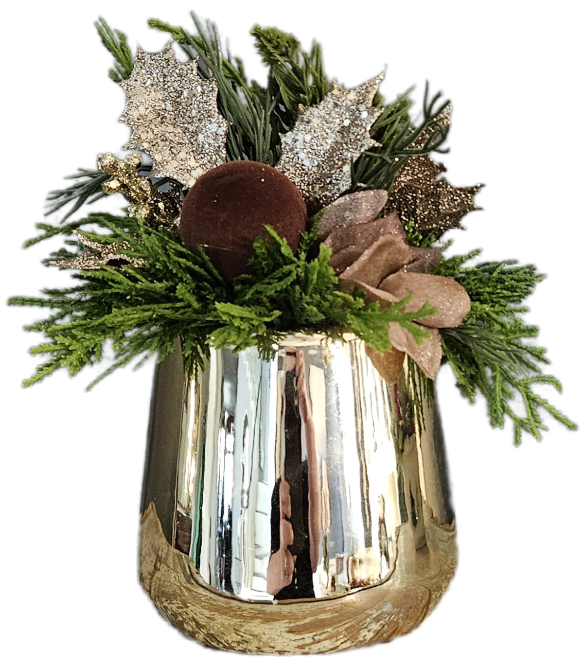 Chocolate & Gold Sit Around