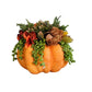 5" Orange Pumpkin Arrangement