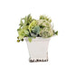 Neutral Sit Around in Ceramic Container