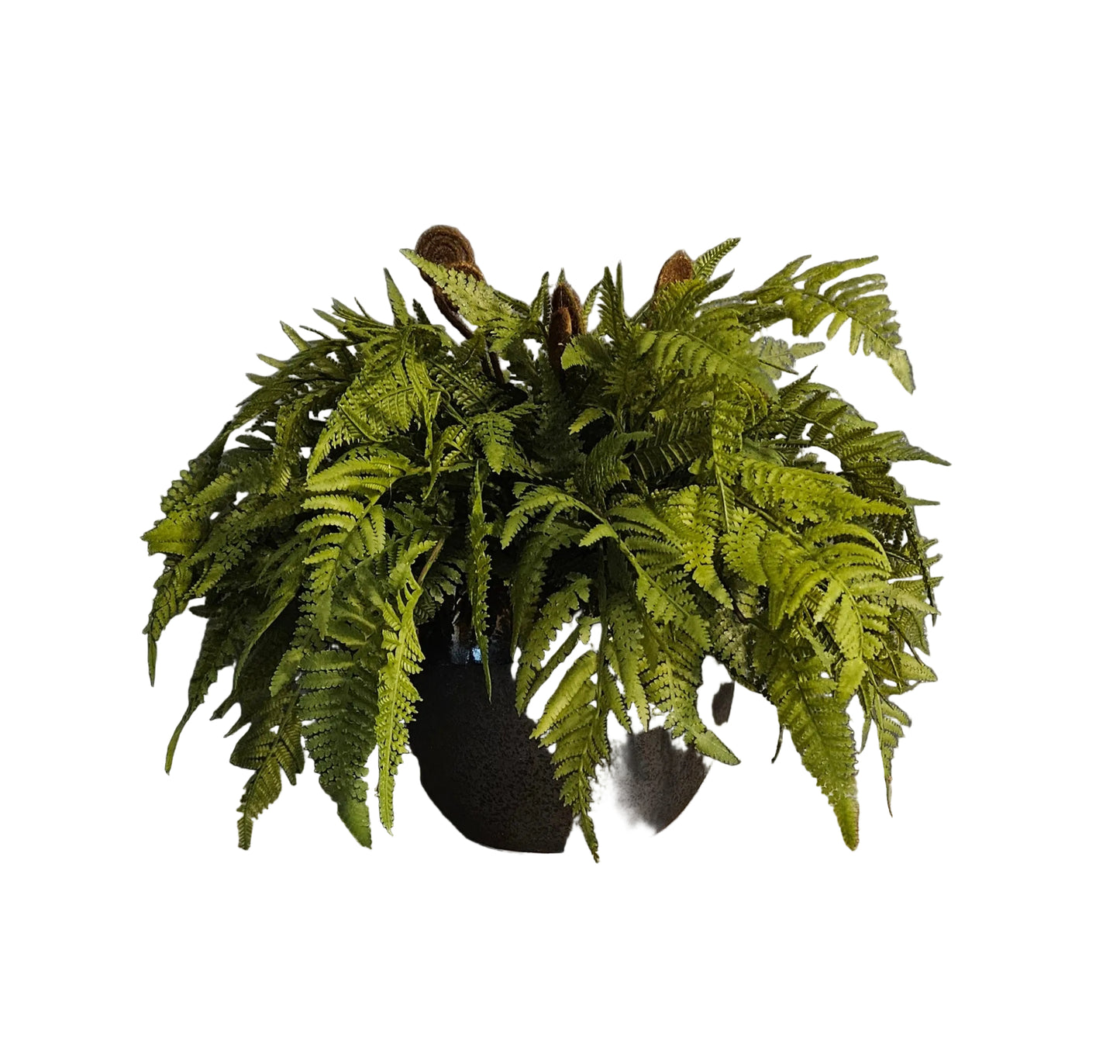 Real Touch Fern Arrangement
