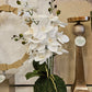 Orchid in Moss Ball Arrangement