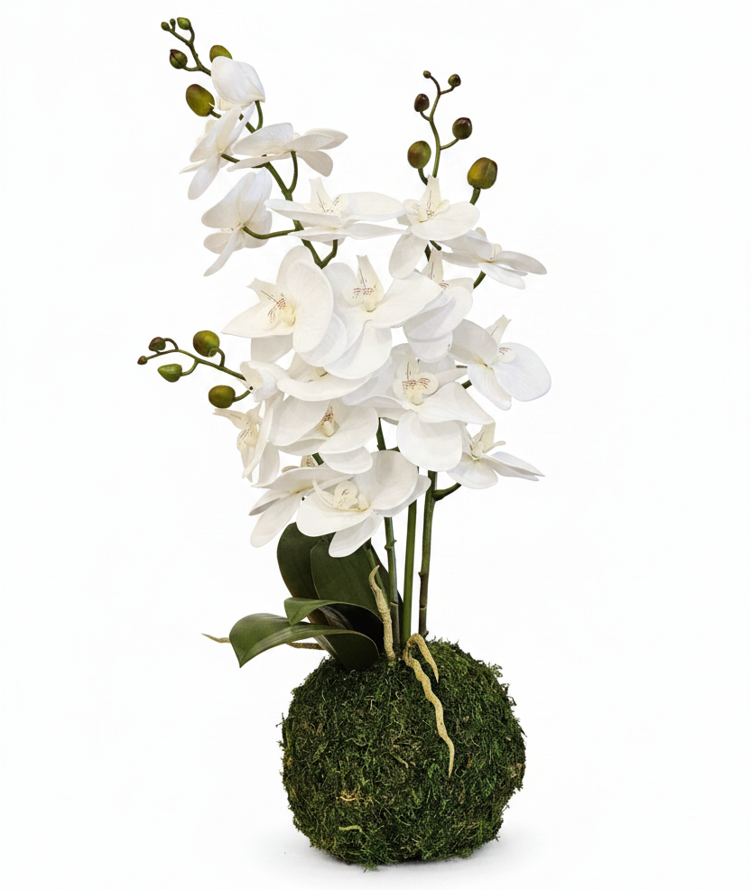 Artificial white orchid plant on a moss ball against a white background