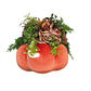 Fall Coral Pumpkin Arrangement