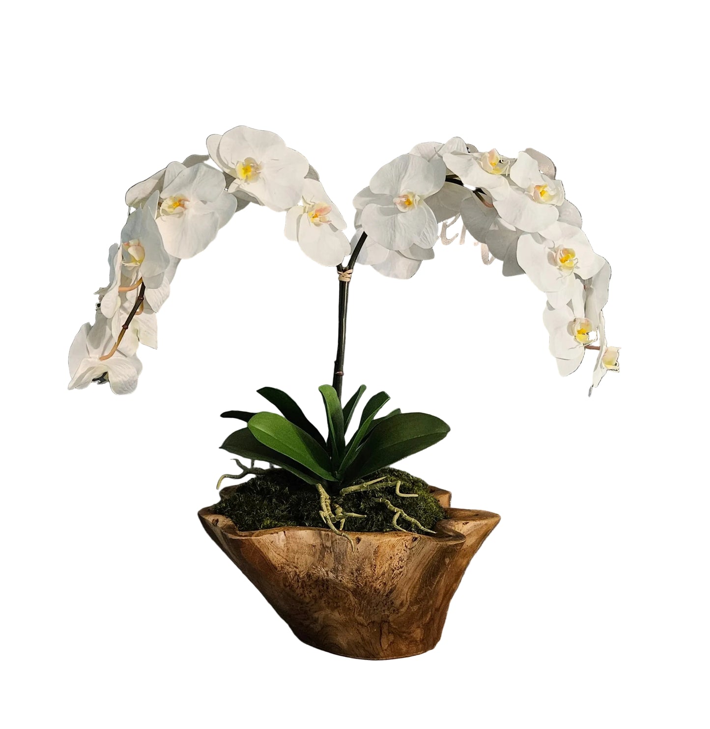 Orchid Arrangement In Teak Wood Bowl
