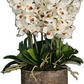 Orchid Arrangement In Rusty Metal Container