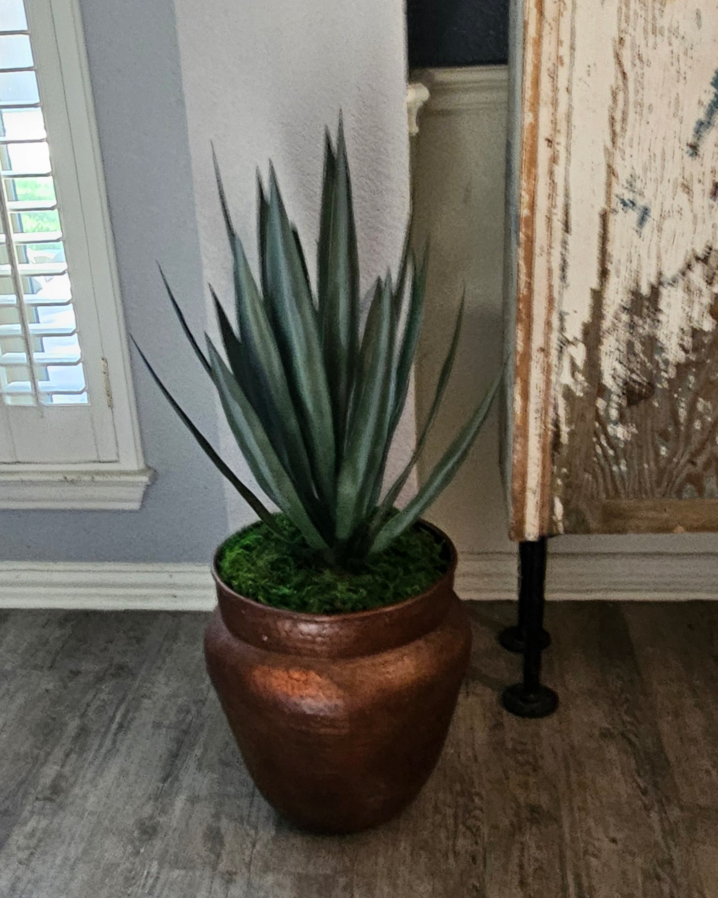 Custom Yucca JP