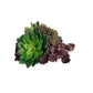 Succulent Topper/Orb